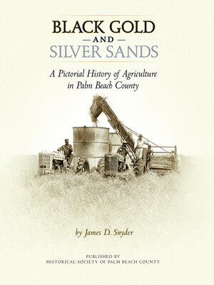 cover image of Black Gold and Silver Sands:: a Pictorial History of Agriculture in Palm Beach County.